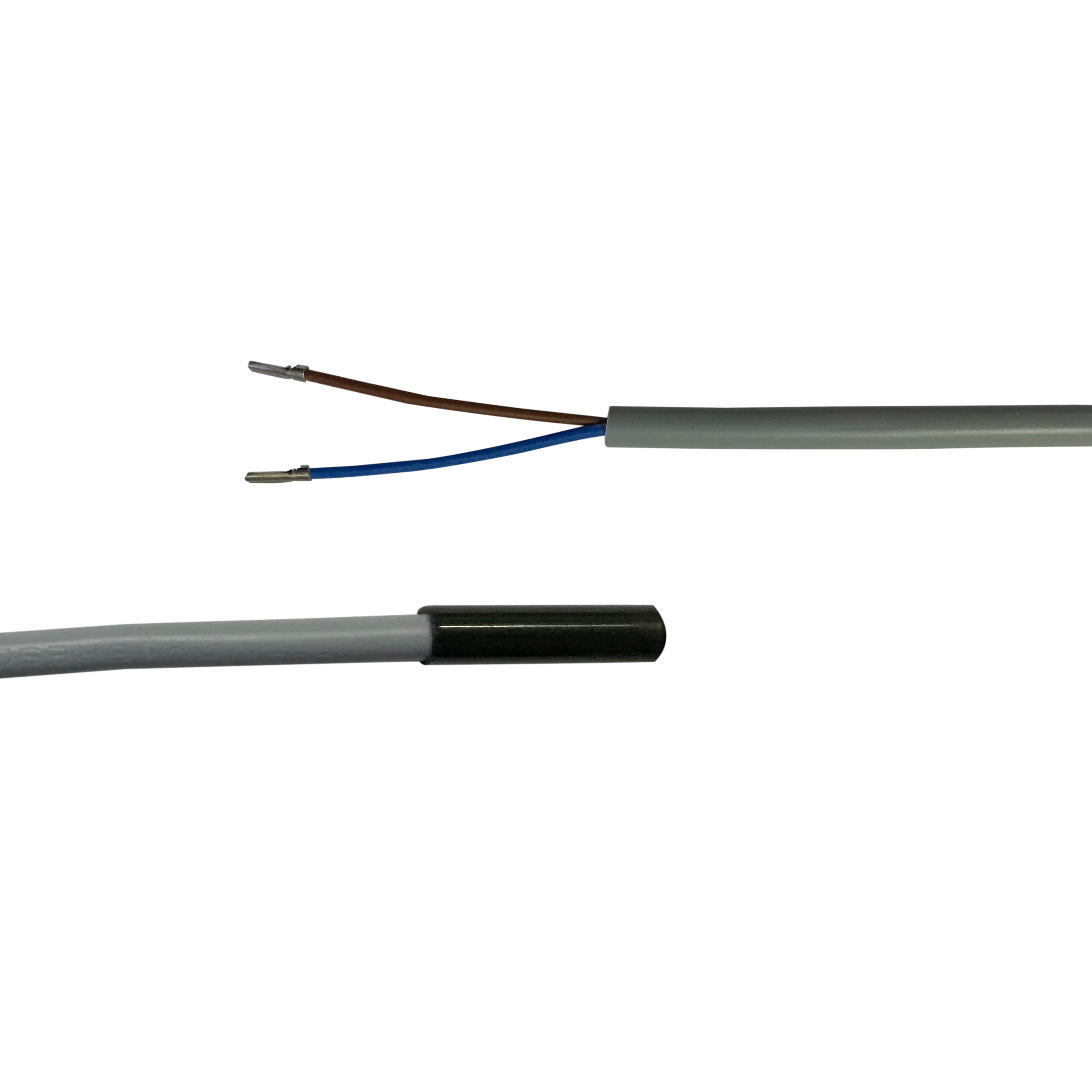 NTC 10k Fühler SN10PP0150 PVC (1.5 m Kabellänge) Sensor, wasserfest - Zinser